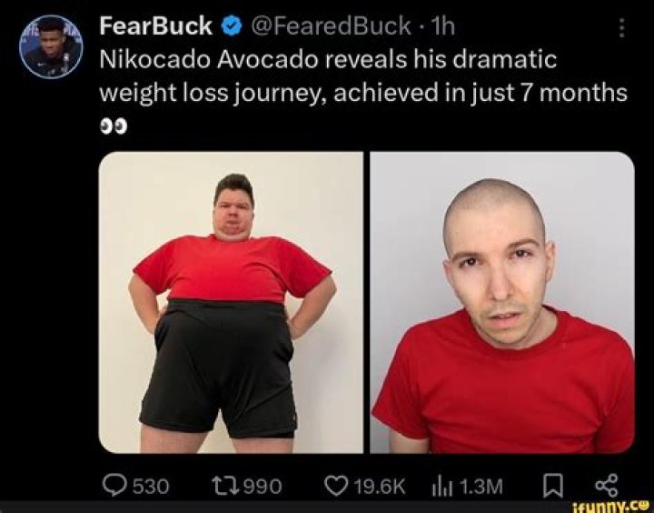 Nikocado Avocado’s dramatic 89lbs weight loss leaves fans in shock