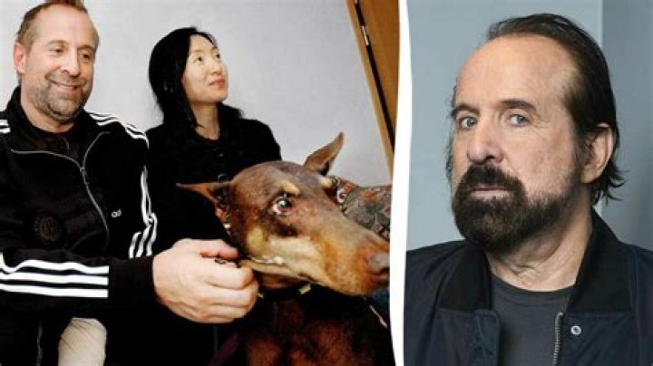 Toshimi Stormare Bio, Age, Married, Nationality, Career